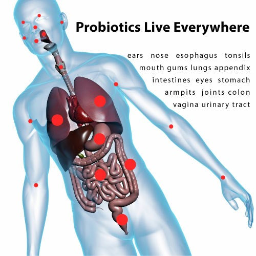 21 Amazing Facts About Probiotics