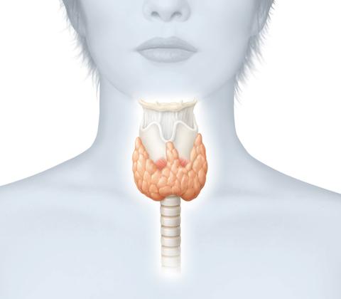 Simple Steps That You Can Do to Improve Your Thyroid Health