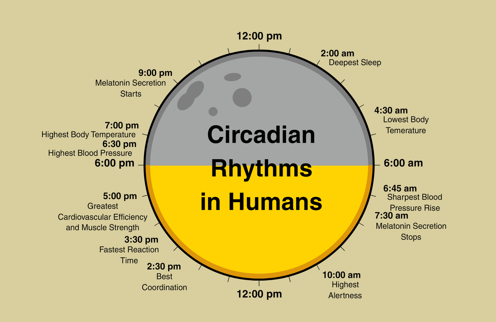 Handy hints for good circadian rhythm and good sleep